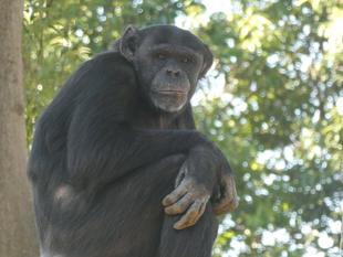 ゴウの誕生日！