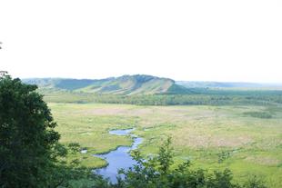 世界湿地の日！