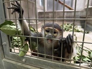 ダオ×FAMILY　CODE：5 寒い冬はこれにかぎる♪