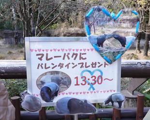 バレンタイン💕バク💕その1