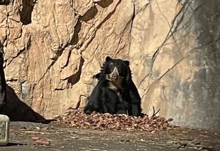 メガネ通信　ひなたはあたたかくて帰ってこない