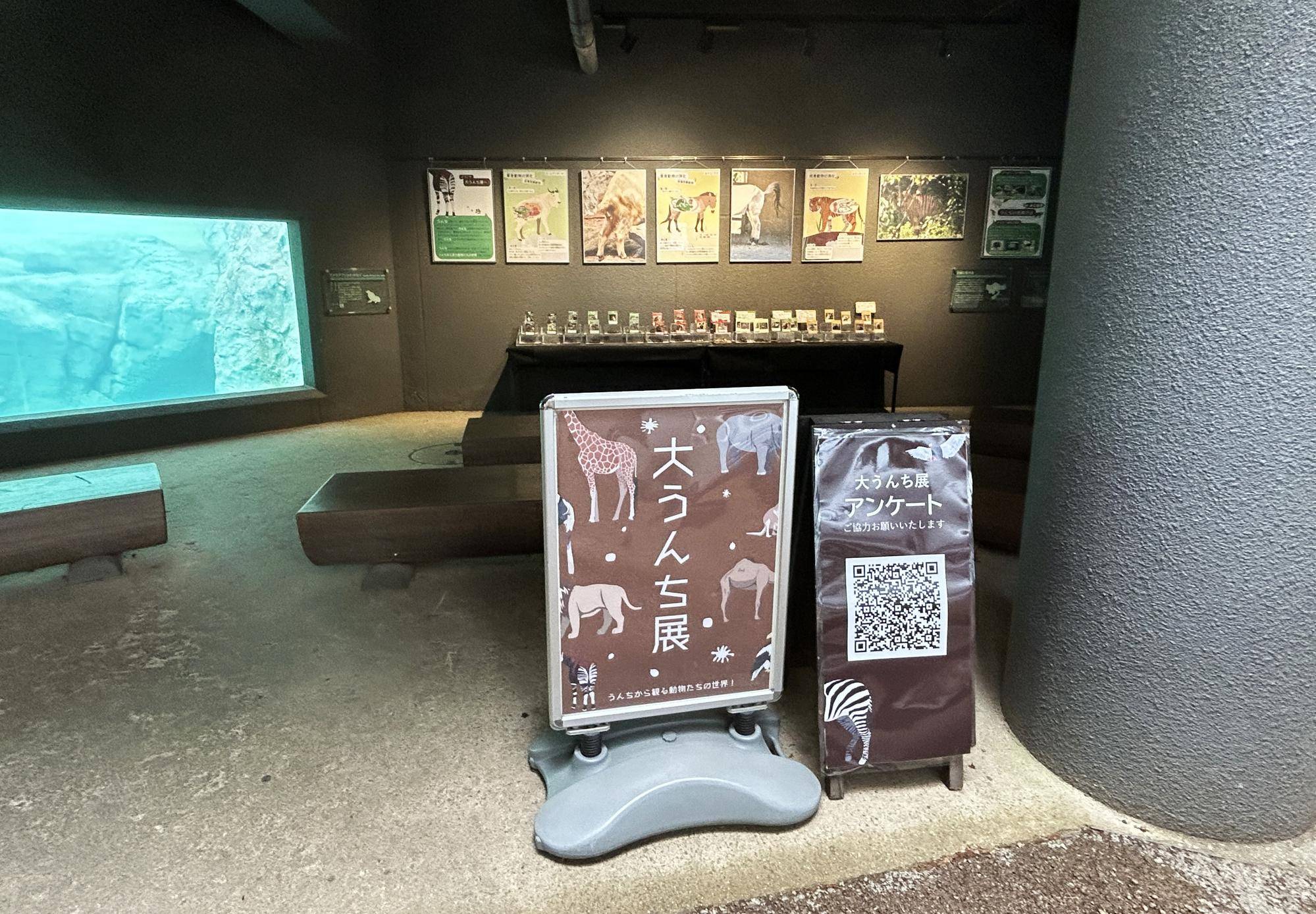 大うんち展がはじまりました!の写真