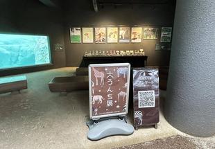 大うんち展がはじまりました!