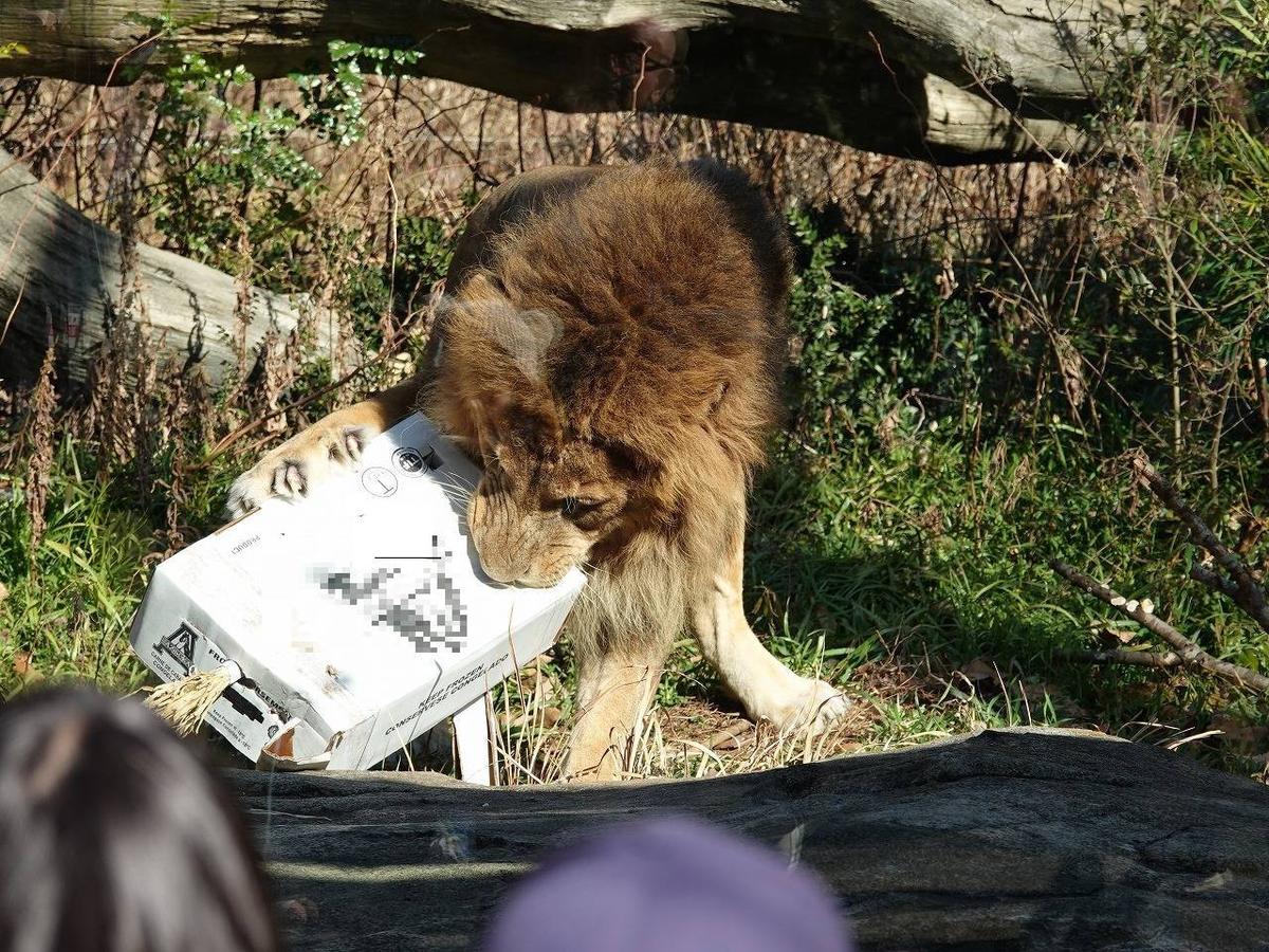 1b066ff206648bfb8aa2d71aaca967