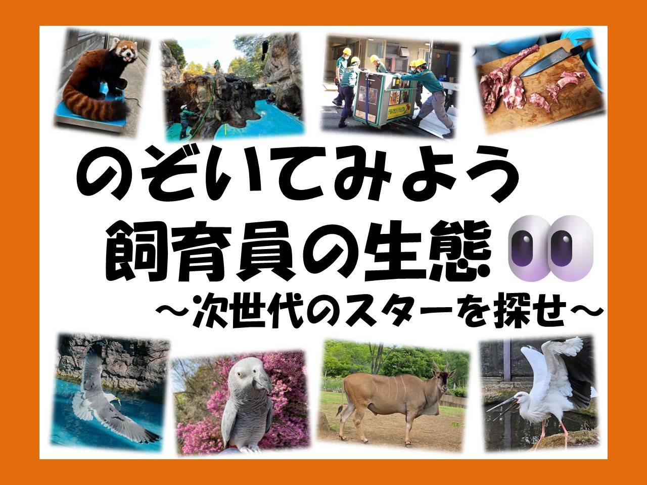 「のぞいてみよう飼育員の生態」がスタートしました!の写真