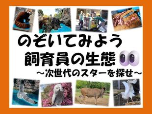 「のぞいてみよう飼育員の生態」がスタートしました!