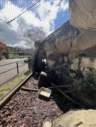ベイクのお気に入りの場所🌞