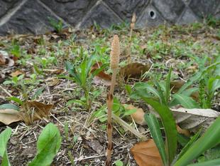 ～　春の訪れ　～