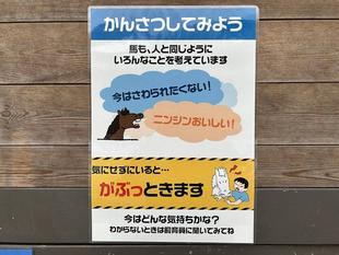 本当に伝えたいコト