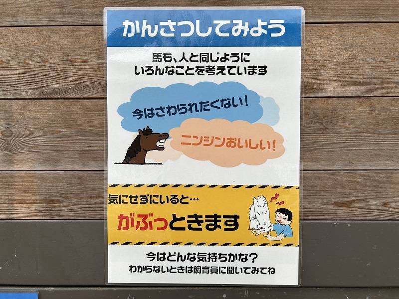 本当に伝えたいコトの写真