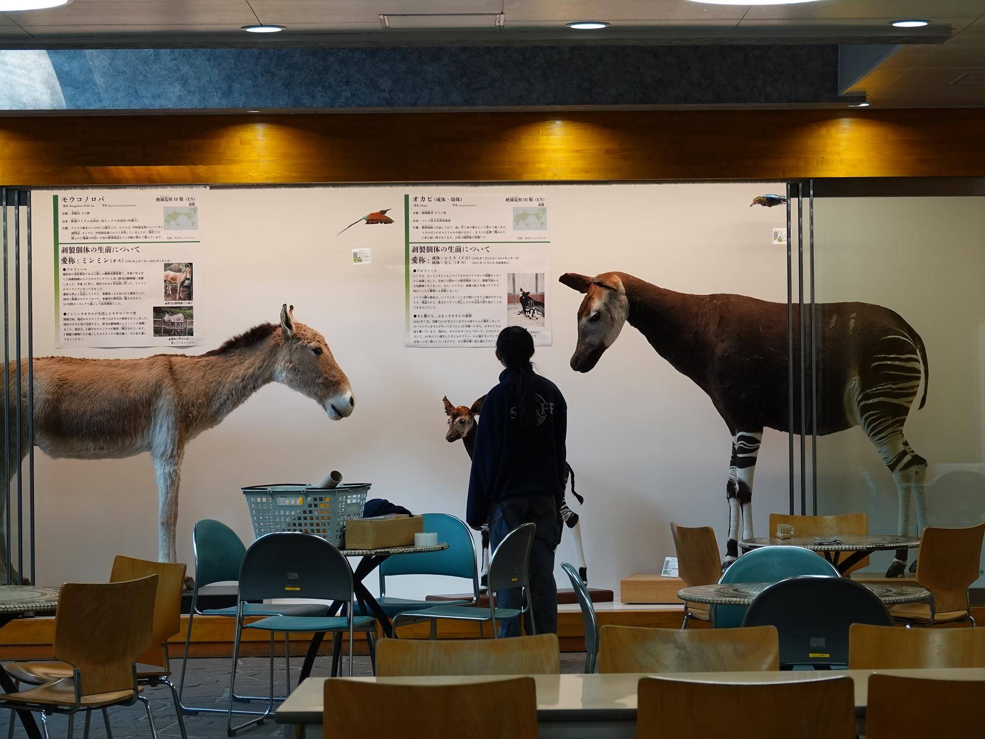Back ZOO the Future を振り返っての写真