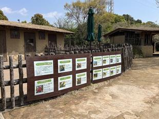 【バードショーで会える鳥たち】の紹介パネルを掲示します！