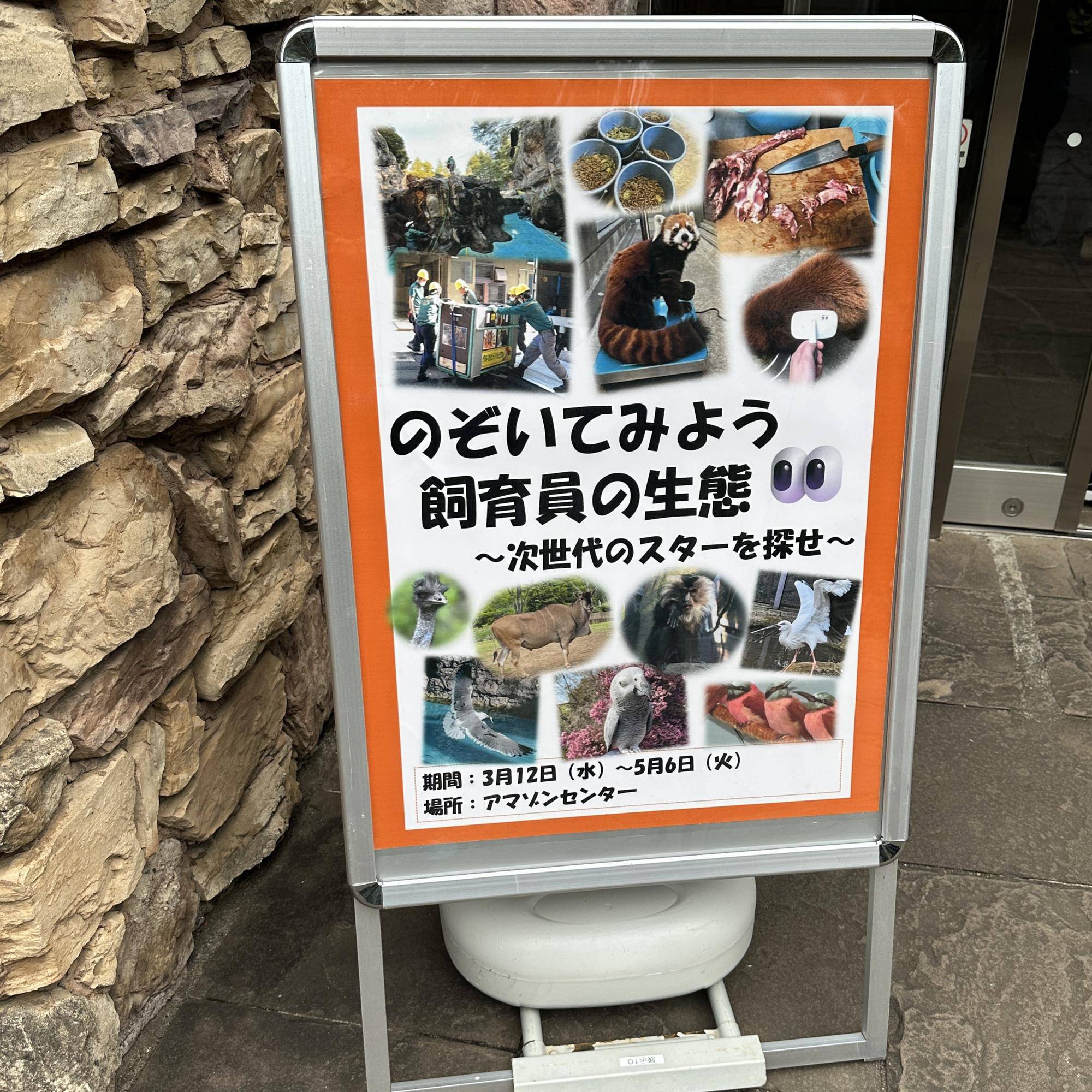 もうすぐ飼育の日!の写真