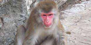 エツコ、ありがとう。