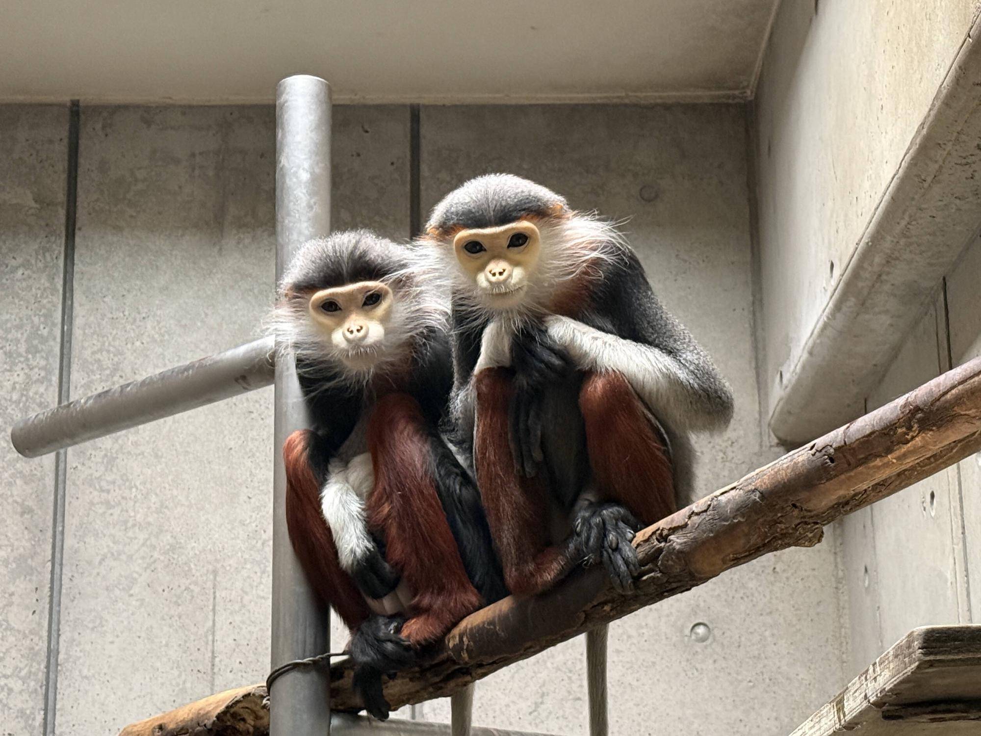 その後の2頭・・・♡の写真