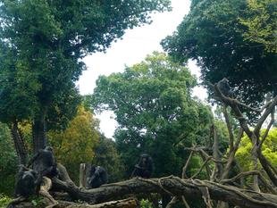 ✨🍃新緑のきれいな季節になりました🍃✨