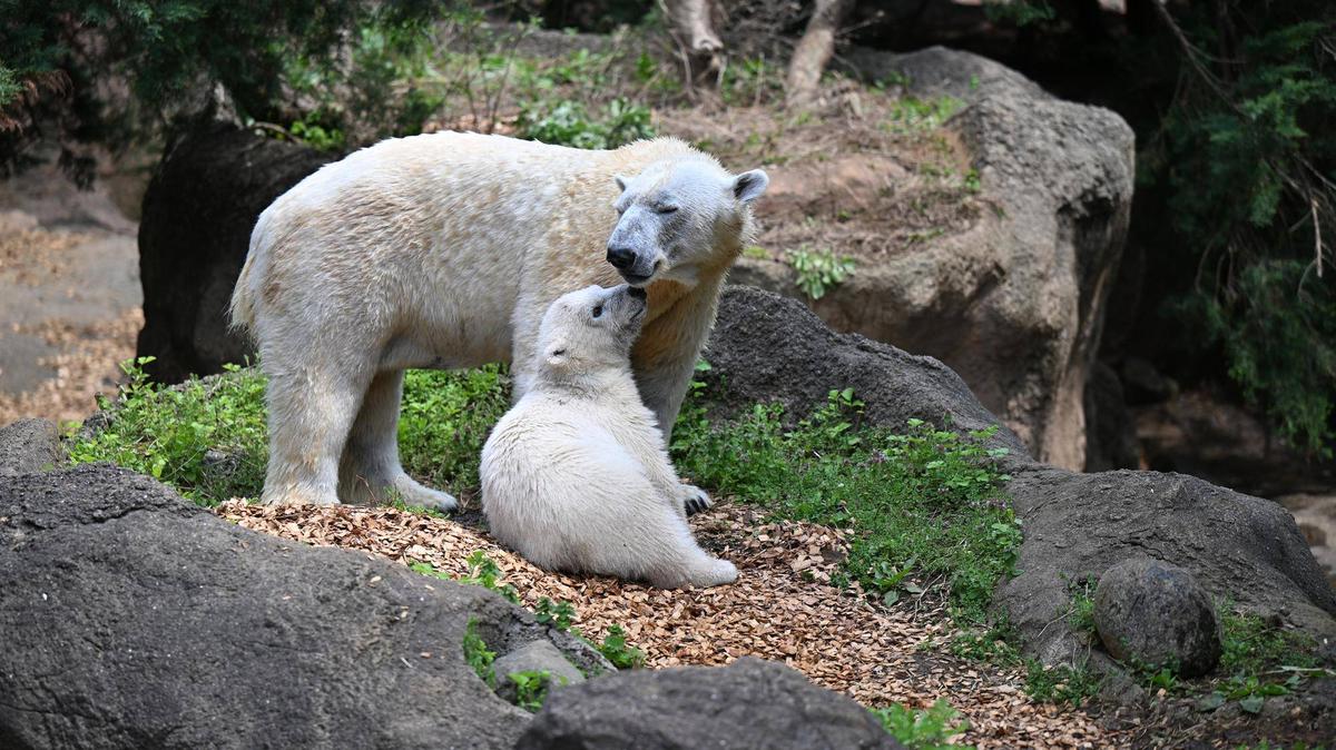 d7259875af130bedf4d5d112de3817