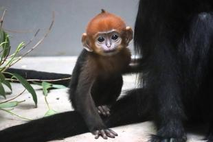 君の名は・・・🍊