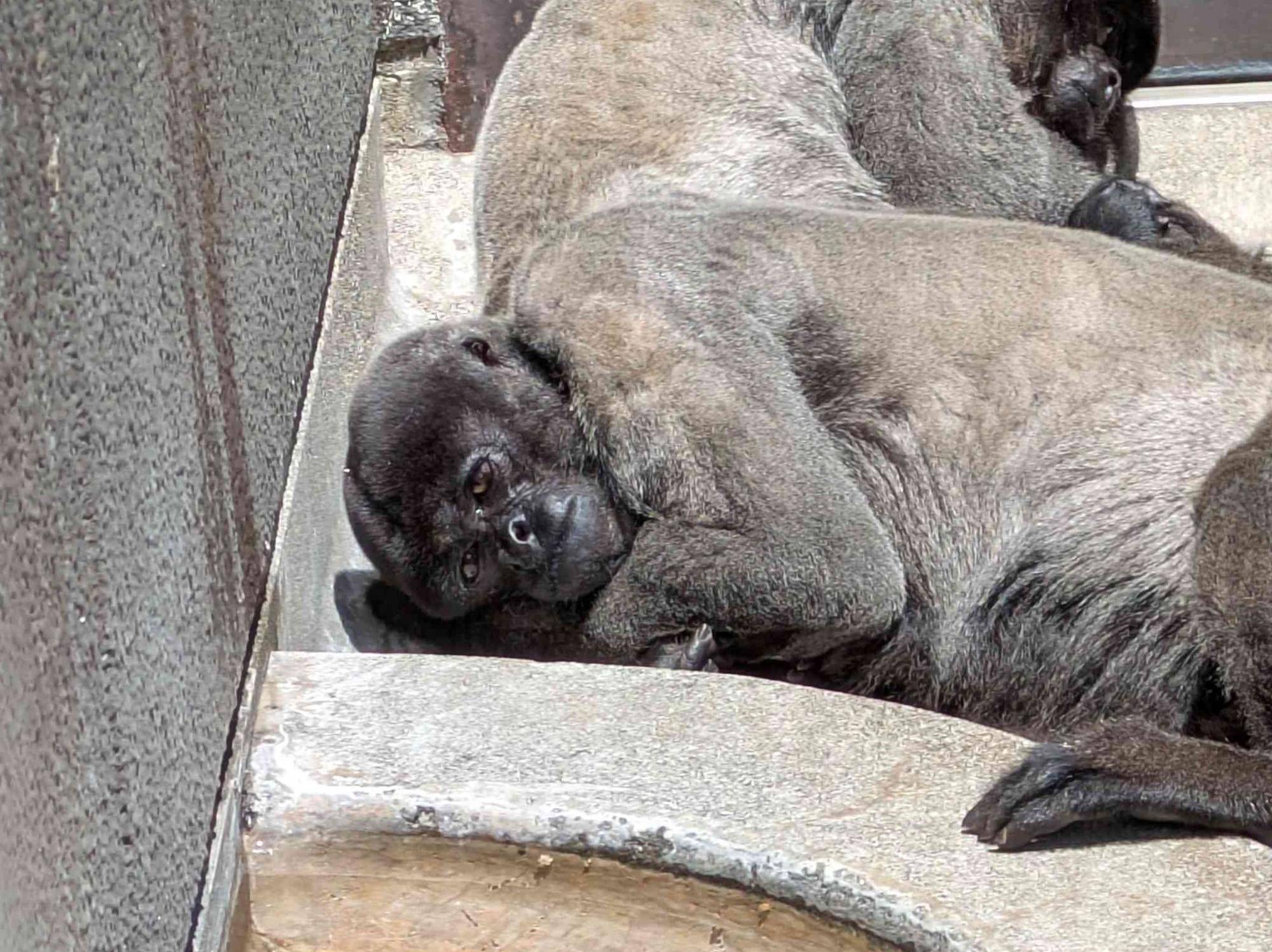 あったかくなってきました!の写真