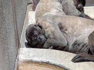 あったかくなってきました!