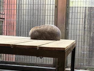 あなたは・・・?