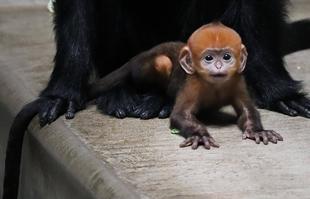 性別発表 先にします!!🍊🍊