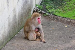 今年も...生まれました🎵
