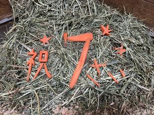 今日の主役は?