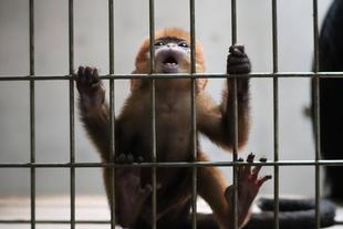 愛称決定しました!!!🍊🍊