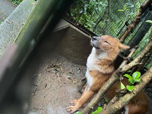 1ショットブログ用写真撮影秘話☆*+。