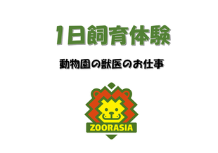 獣医体験を実施しました!!!