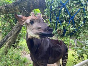 誕生日🎂おめでとう!!