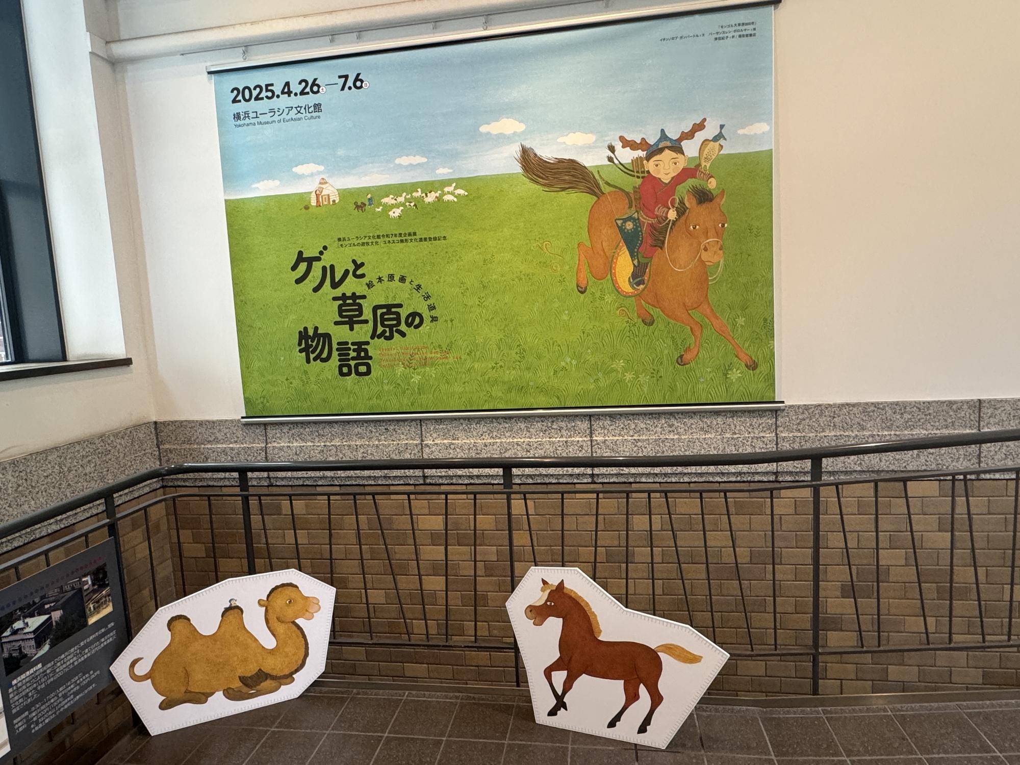横浜ユーラシア文化館にズーラシアのモウコノウマが...!☆*+。の写真