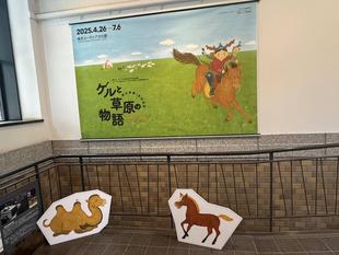 横浜ユーラシア文化館にズーラシアのモウコノウマが...!☆*+。