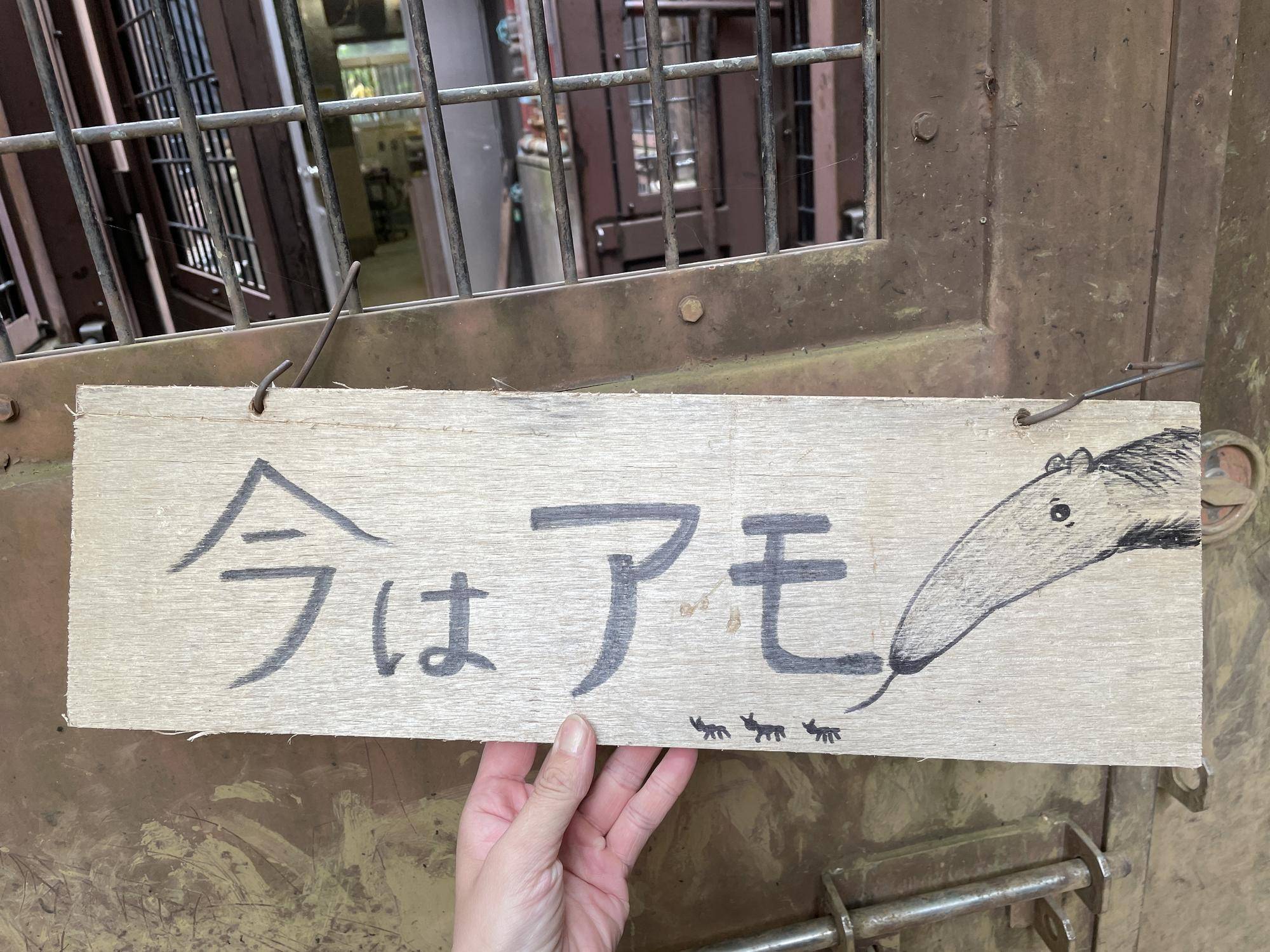 オオアリクイ通信 今は◯◯看板がでました📢の写真