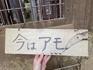 オオアリクイ通信 今は◯◯看板がでました📢