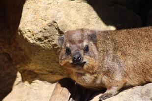 もちの誕生日🎂