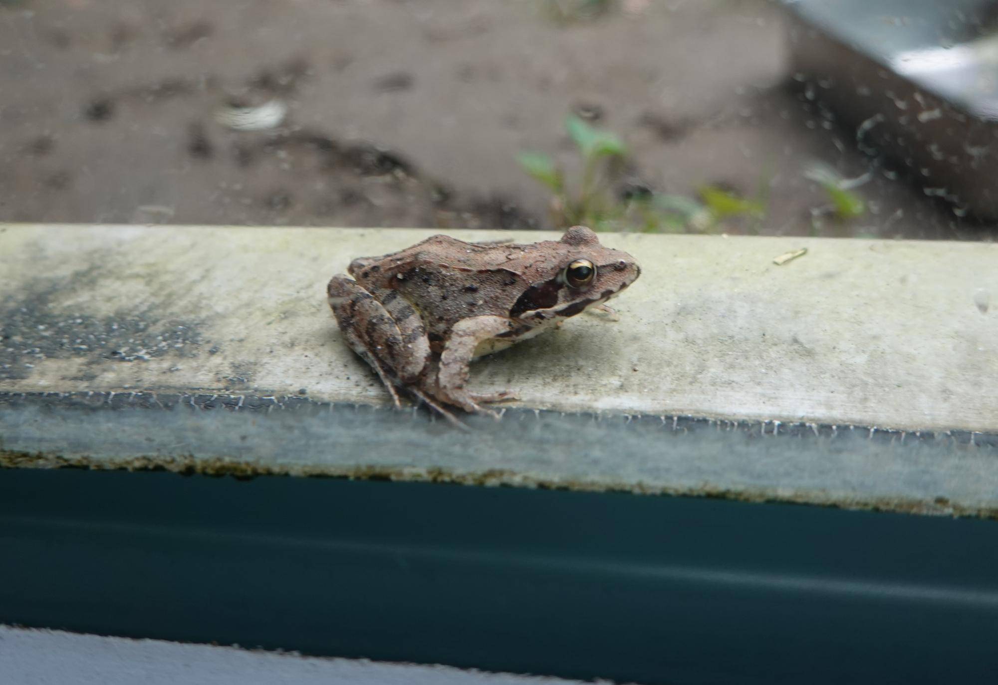 保全管理研修に参加しましたの写真