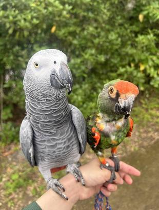 6月15日ってなんの日？？