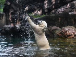 東京・横浜ベストスポット '07 (マップルマガジン) 昭文社 よこはま動物園ズ よこはま動物園ズーラシア公式サイト｜公益財団法人 横浜市緑の協会