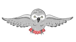 オウムインコデー特別ガイドを実施しました！