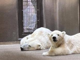 ライの成長~出来るようになったこと、出来なくなったこと~