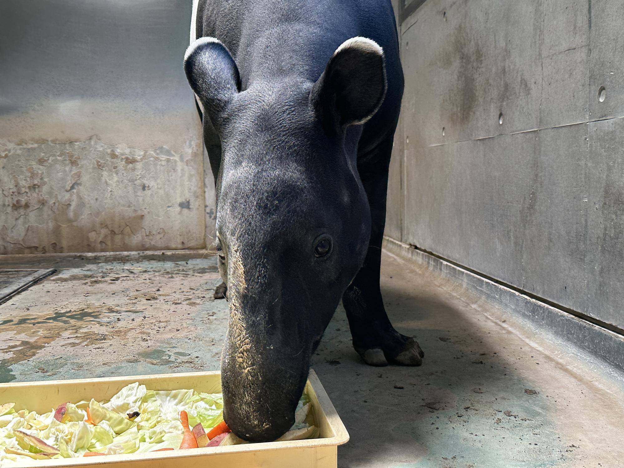 祝6歳!!🎂の写真