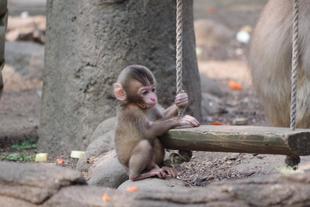 少しずつ、少しずつ・・・・