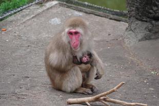 57番なので･･･