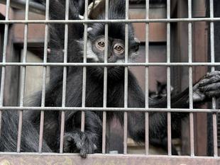 ユズぽん通信 最終回　2歳おめでとう！