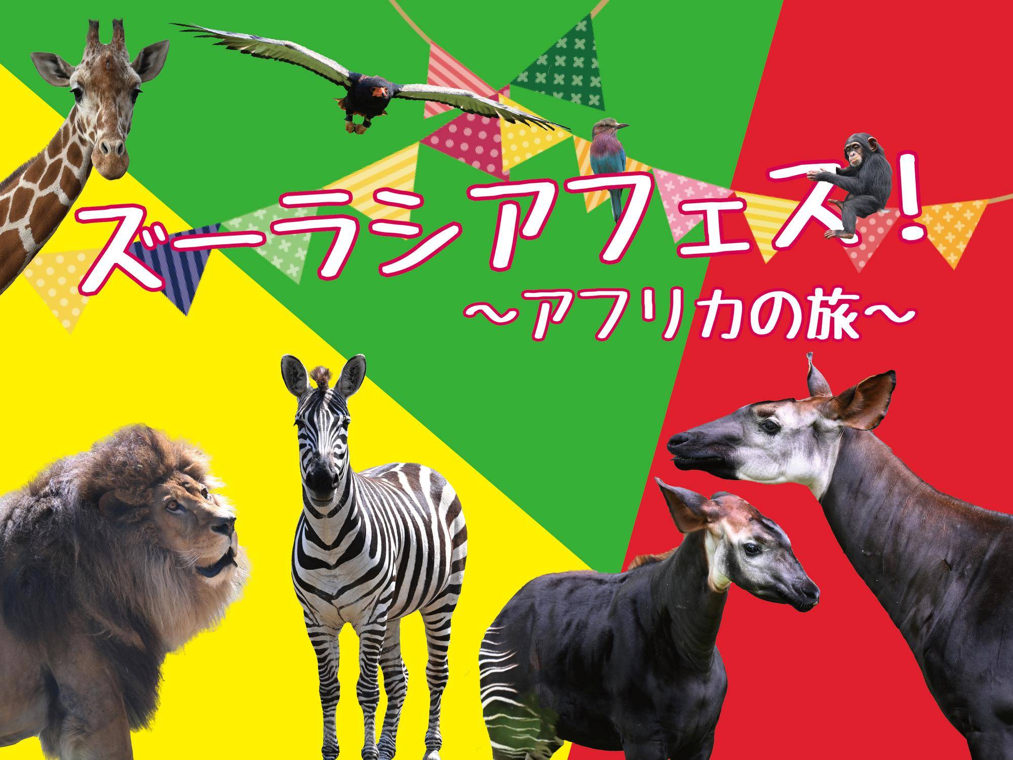 ズーラシアフェス!~アフリカの旅~の写真