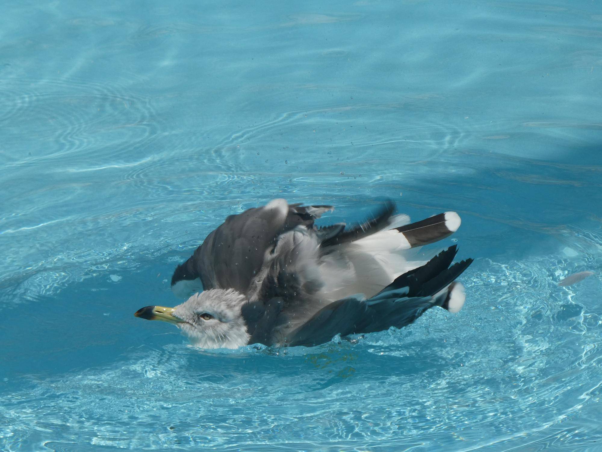 あっちでもこっちでもパシャパシャ💦の写真