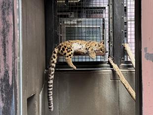 あれ？そこは・・・？