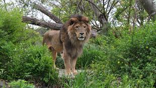 【9～11月】飼育員のとっておきタイム